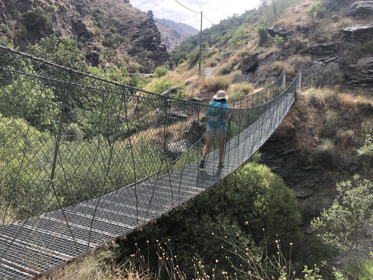 Suite Ladero Alto Sierra Nevada غويخار سييرا المظهر الخارجي الصورة